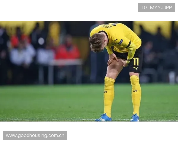 8月19日最新足球伤停报告揭晓多支劲旅核心缺阵影响战局 8月19日最新足球伤停报告揭晓多支劲旅核心缺阵影响战局