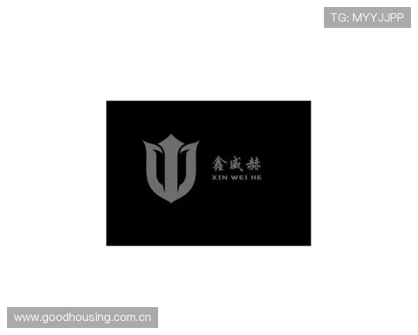 旁遮普勇士财团成功收购莫克姆队标志俱乐部进入全新发展阶段 旁遮普勇士财团成功收购莫克姆队标志俱乐部进入全新发展阶段